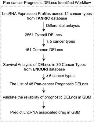 A Pan-Cancer Analysis of Transcriptome and Survival Reveals Prognostic Differentially Expressed LncRNAs and Predicts Novel Drugs for Glioblastoma Multiforme Therapy